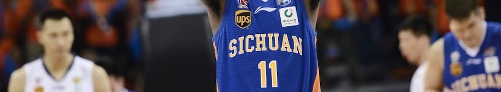 Sichuan Blue Whales banner