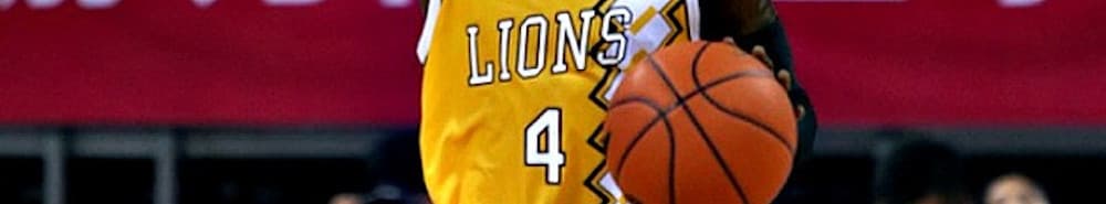 Zhejiang Guangsha banner