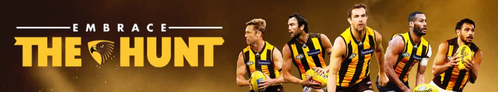 Hawthorn Football Club banner