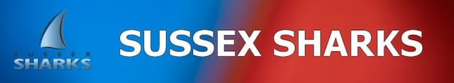 Sussex Sharks artwork 4