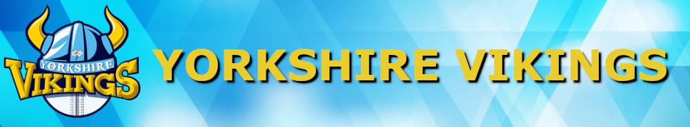 Yorkshire Vikings banner
