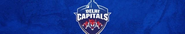 Delhi Capitals artwork 4