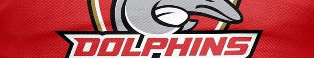 Dolphins banner