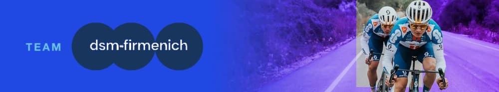 Team DSM banner