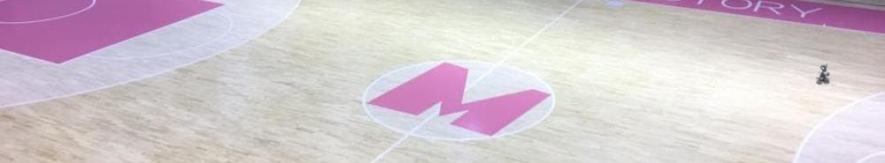 KK Mega Basket banner