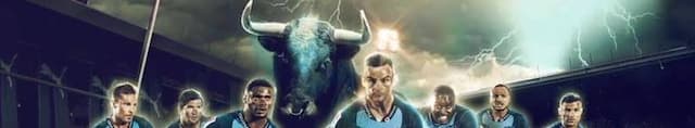 Bulls Super Rugby artwork 4