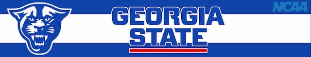 Georgia State artwork 3