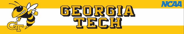 Georgia Tech artwork 3