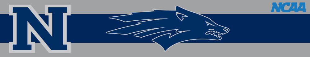 Nevada banner