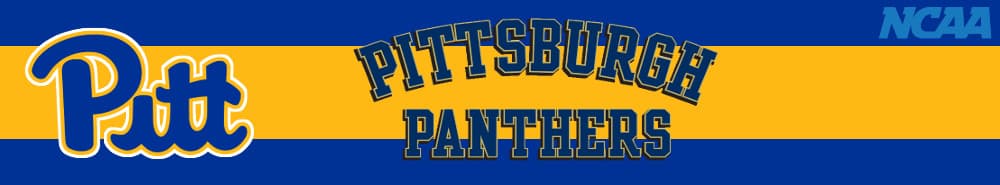 Pittsburgh banner
