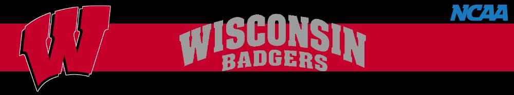 Wisconsin banner