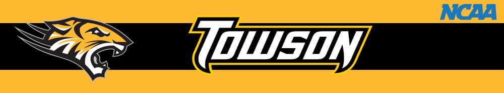 Towson banner