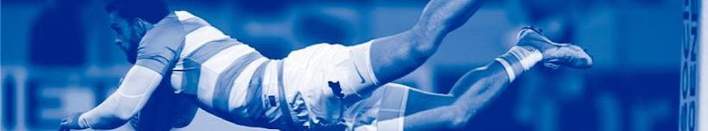 Argentina Rugby banner