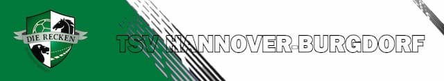 TSV Hannover-Burgdorf artwork 4