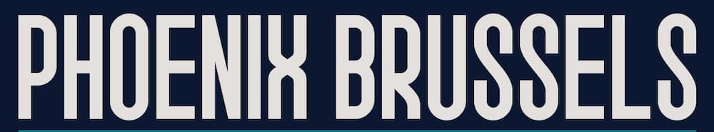 Brussels Basketball banner