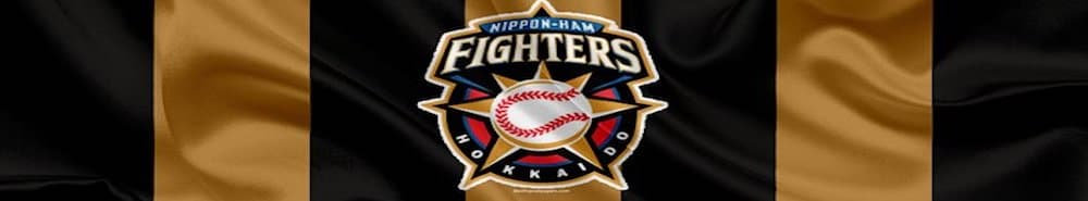 Hokkaido Nippon-Ham Fighters banner