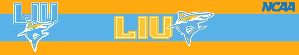 LIU-Brooklyn banner