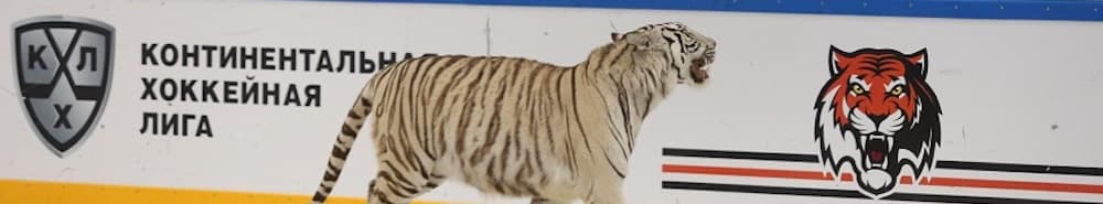 Amur Khabarovsk banner