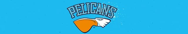 Pelicans artwork 4