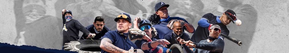 Acereros de Monclova banner