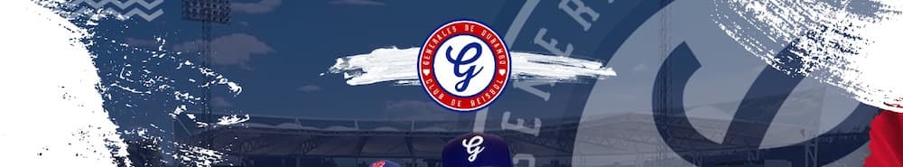 Generales de Durango banner