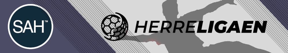 Skanderborg Aarhus Håndbold banner