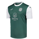 Hibernian jersey