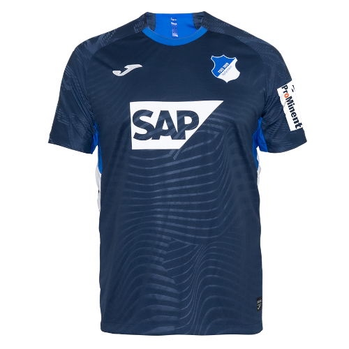 Hoffenheim artwork 3