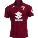 Torino jersey