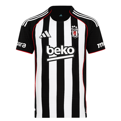 Besiktas artwork 2
