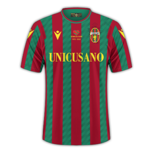 Ternana artwork 3