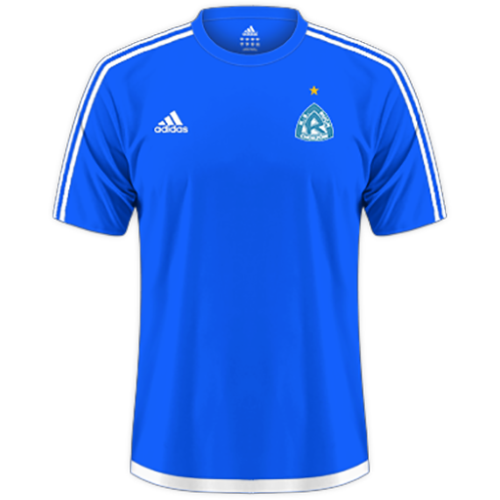 Ruch Chorzow artwork 2