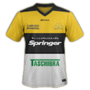 Criciuma jersey