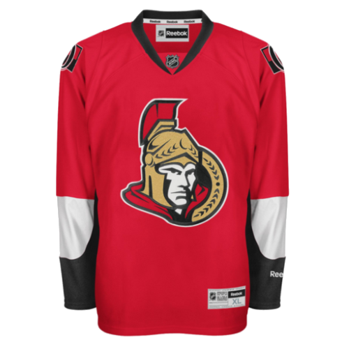 Ottawa Senators artwork 3