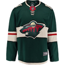 Minnesota Wild jersey
