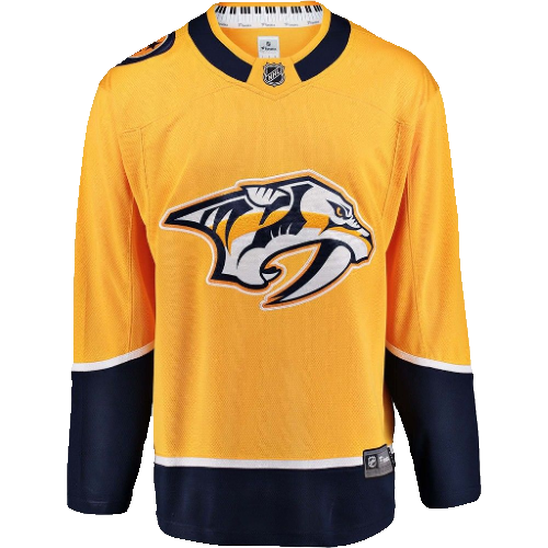 Nashville Predators artwork 3