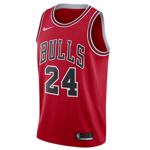 Chicago Bulls artwork 3