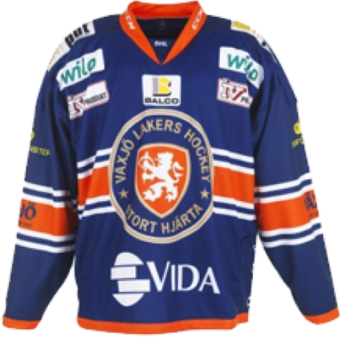 Växjö Lakers artwork 3
