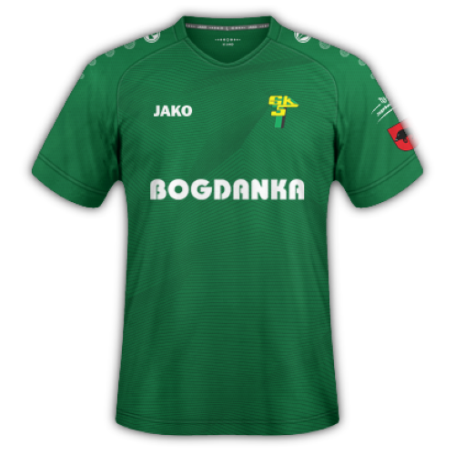 Gornik Leczna artwork 2