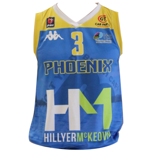 Cheshire Phoenix artwork 3