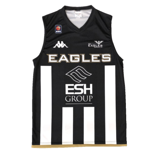 Newcastle Eagles artwork 3