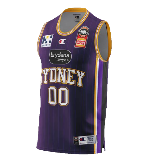 Sydney Kings artwork 3