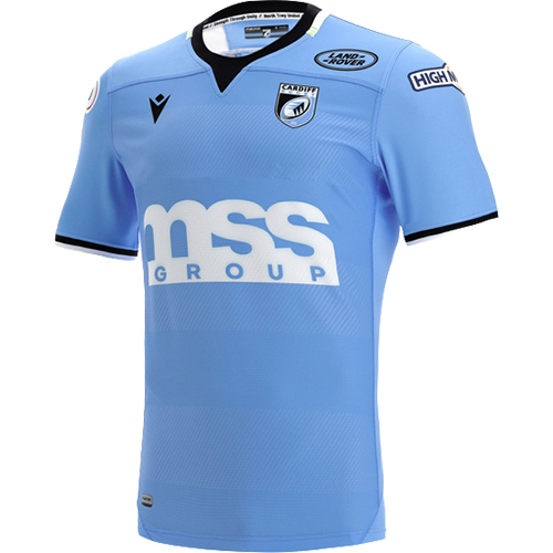 Cardiff Rugby artwork 3