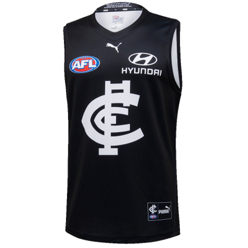 Carlton Football Club artwork 3