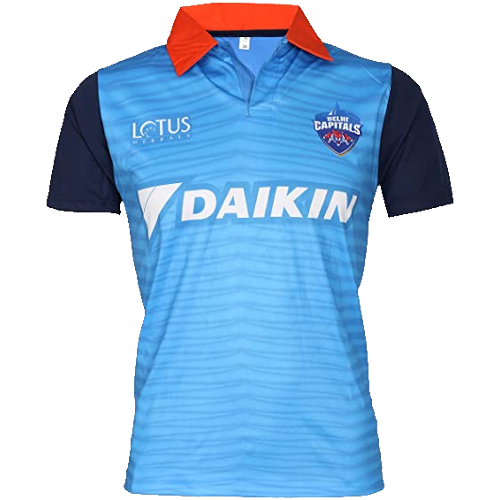 Delhi Capitals artwork 3