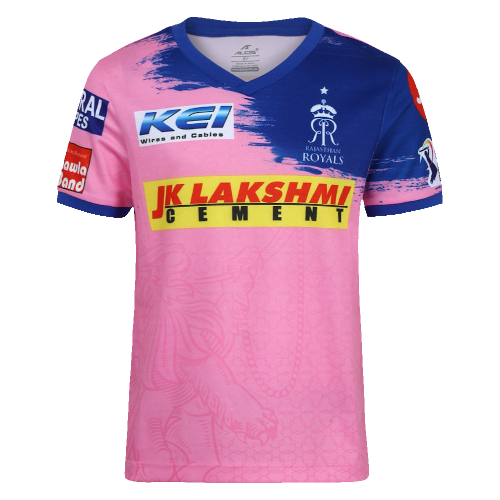 Rajasthan Royals artwork 3