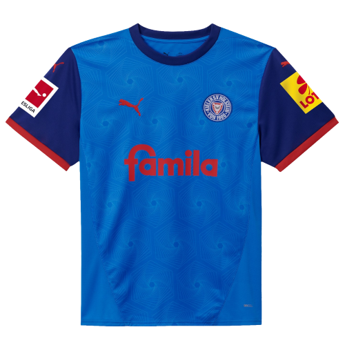 Holstein Kiel artwork 3