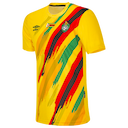 Zimbabwe jersey