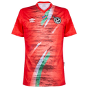 Namibia jersey