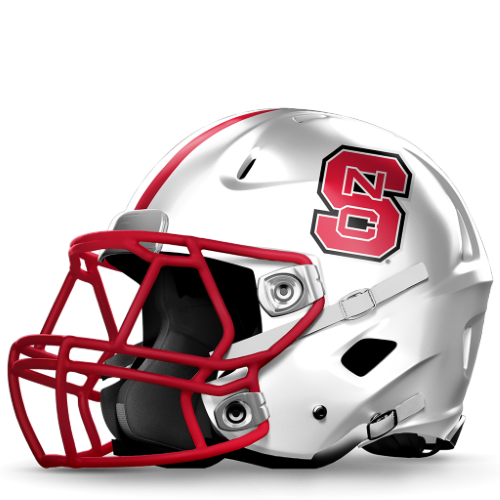 NC State artwork 3